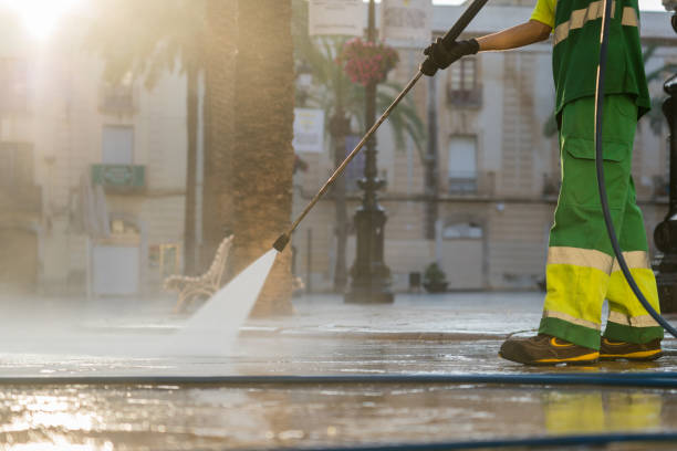 Best Fence Cleaning and Maintenance in Lake Forest, IL